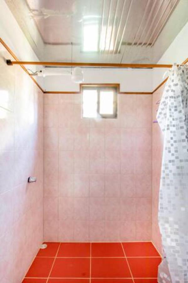 Container House Cahuita Hotel Bagian luar foto